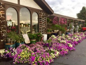 treasure hut flowers lake geneva